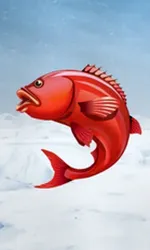 Ice Fishing
